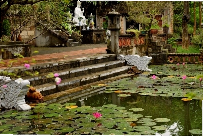 Ao sen thơ mộng trong khuôn viên Việt Phủ Thành Chương