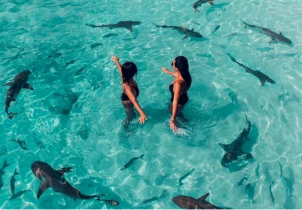 Bãi biển cát trắng mịn và làn nước trong xanh tại một hòn đảo thuộc Raja Ampat