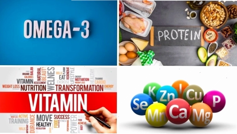 Bảng giá trị dinh dưỡng của cá mú biển