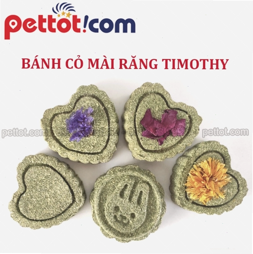 Bánh cỏ Timothy giúp mài răng và bổ sung dinh dưỡng cho chuột lang