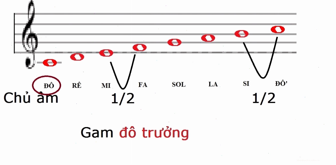 Biểu đồ minh họa các nốt trong gam Đô Trưởng