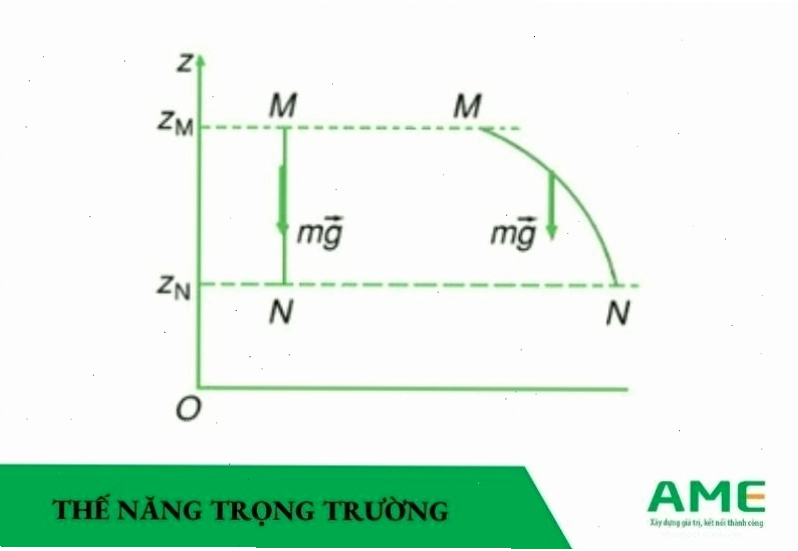 Biểu thức thế năng trọng trường là gì và công thức tính