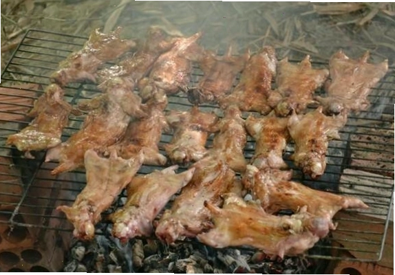 Cá món ăn ngon miệng và bổ dưỡng cho sóc cảnh
