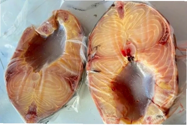 Cá trà sóc có thân hình thon dài và màu sắc ánh bạc đặc trưng