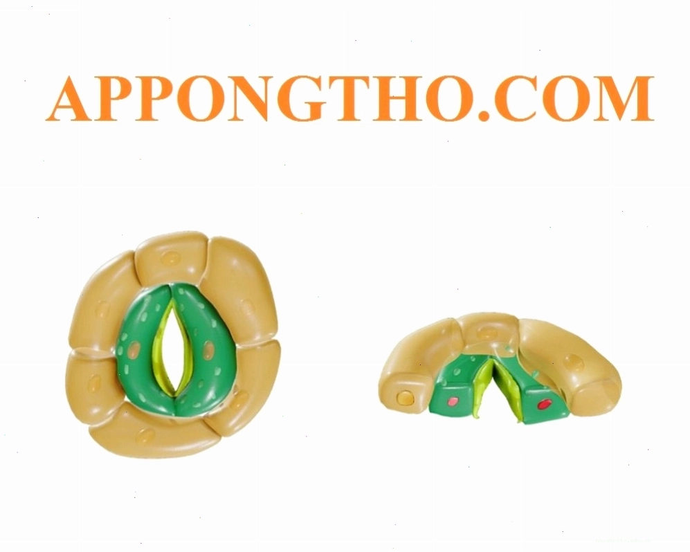 Các câu hỏi thường gặp về khí khổng
