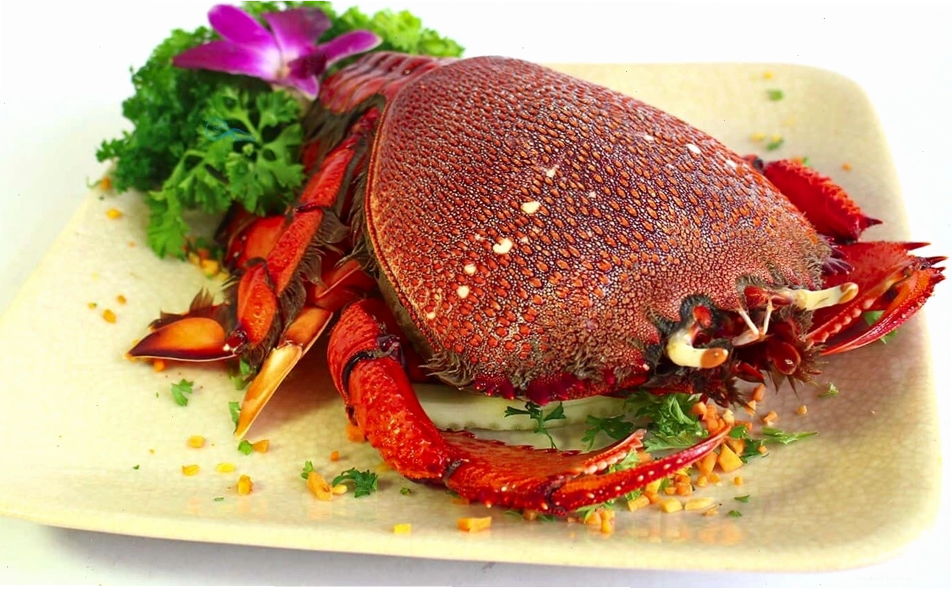 Các món hải sản tươi ngon của Lý Sơn