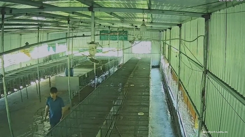 Cán bộ nông nghiệp thăm trang trại chồn hương