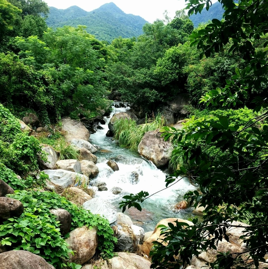 Cảnh quan nên thơ của Suối Lương nhìn từ trên cao