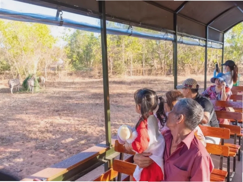 Cảnh quan tại Safari Cafe Phan Thiết, nơi có thể ngắm ngựa vằn