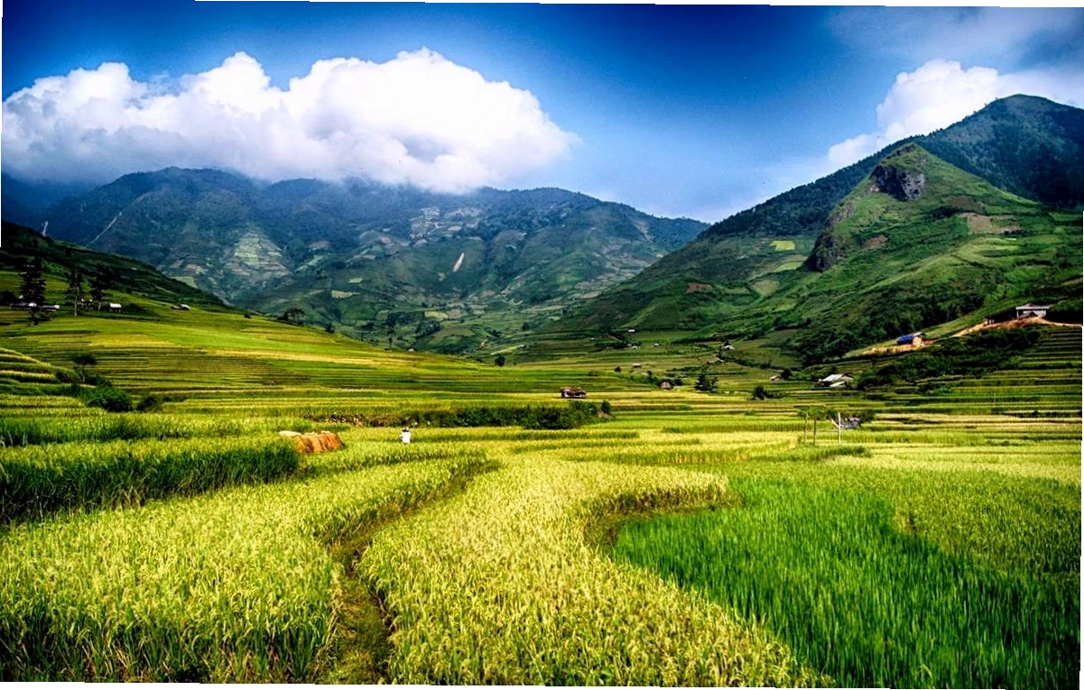 Cảnh quan thiên nhiên tươi đẹp tại bản Đêu Nghĩa Lộ