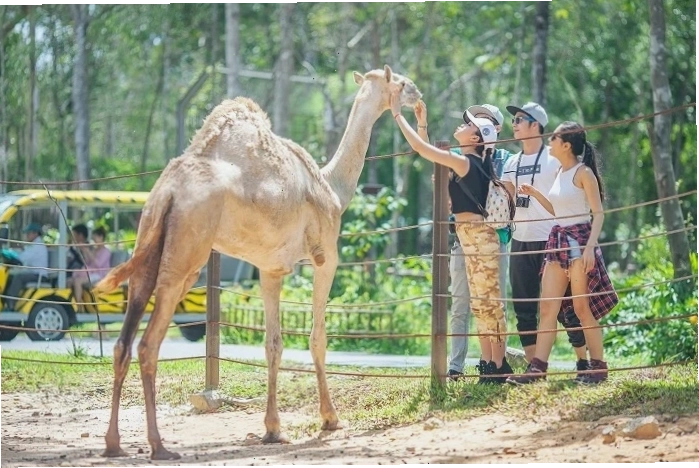 Cảnh quan thiên nhiên xanh mát tại Công viên Quốc gia Phú Quốc