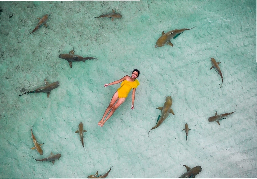 Cảnh quan tuyệt đẹp của đảo Raja Ampat với nước biển xanh ngắt và núi đá vôi hùng vĩ