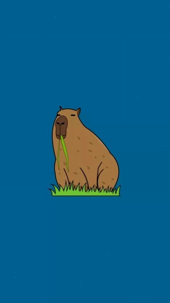 Capybara trong tư thế ngồi quen thuộc