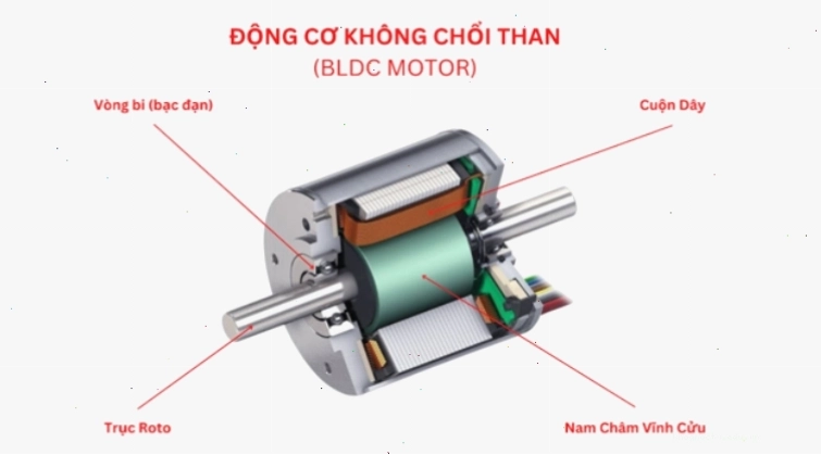 Cấu tạo cơ bản của động cơ DC không chổi than