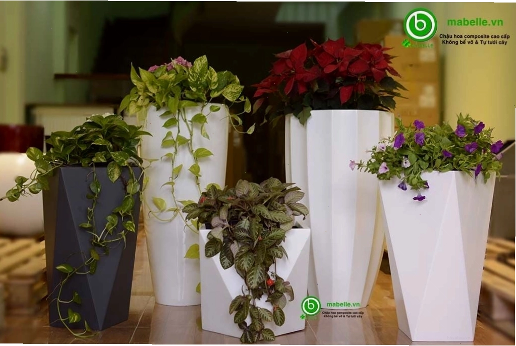 Chậu cây composite với thiết kế hiện đại và bền bỉ