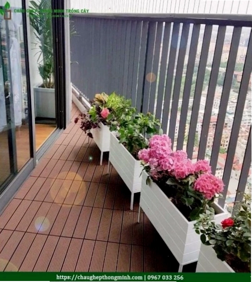 Chậu composite tạo điểm nhấn xanh cho ban công chung cư