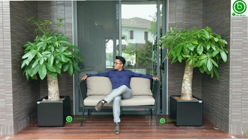 Chậu composite vuông với thiết kế tối giản, hiện đại