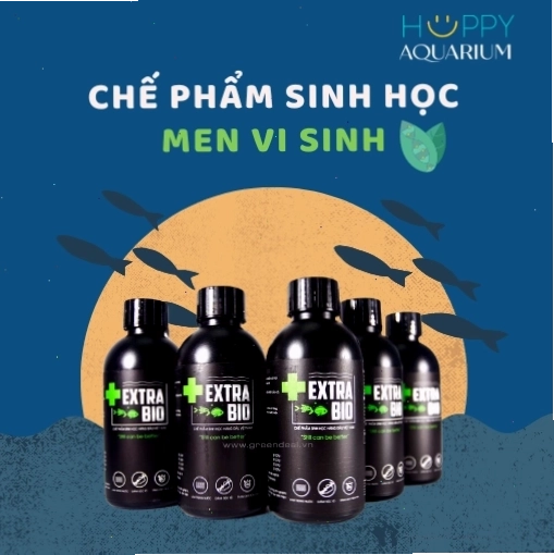Chế phẩm sinh học hỗ trợ tiêu hóa cho cá