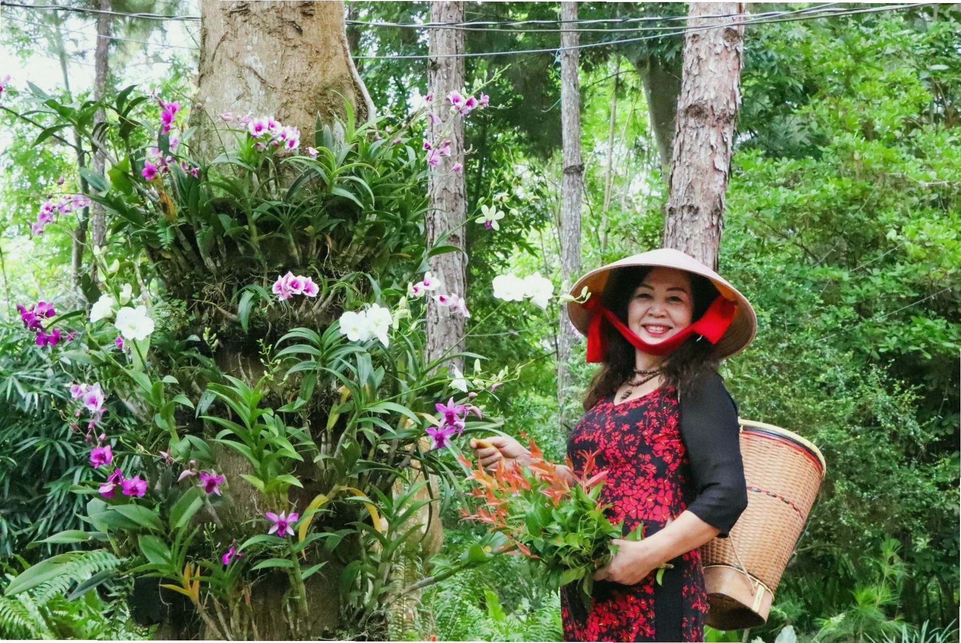 Con đường mòn xuyên khu rừng tại Suối Rao Ecolodge