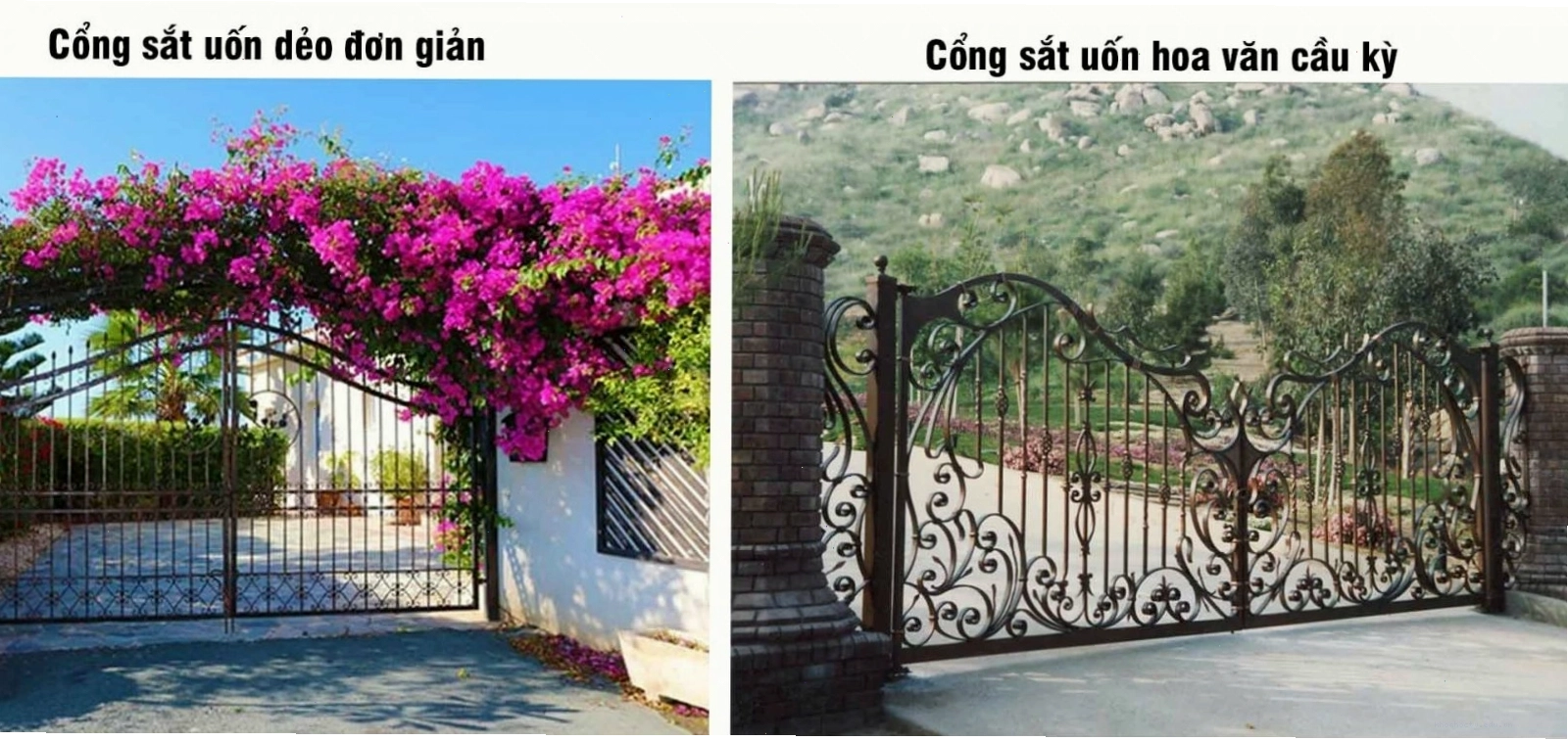 Cổng sắt uốn họa tiết đơn giản và cầu kỳ cho nhà vườn