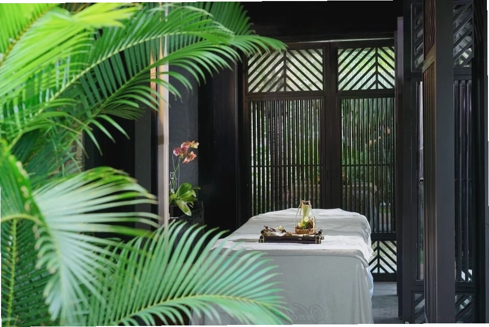 Đường đi nhỏ len lỏi giữa vườn hoa cẩm tú cầu