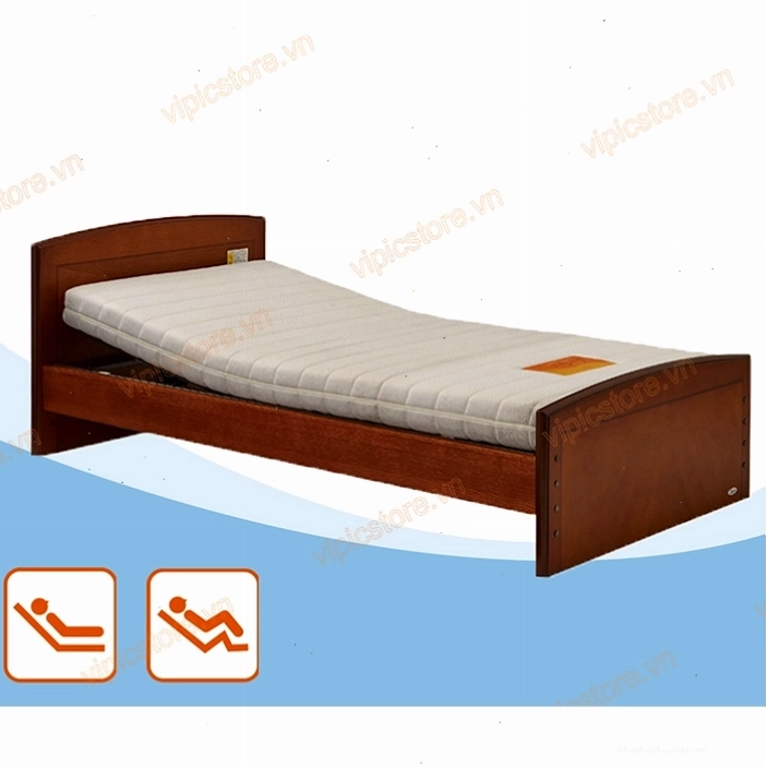 Giường y tế điện 2 chức năng Carelet Fii VPIC Việt Phát