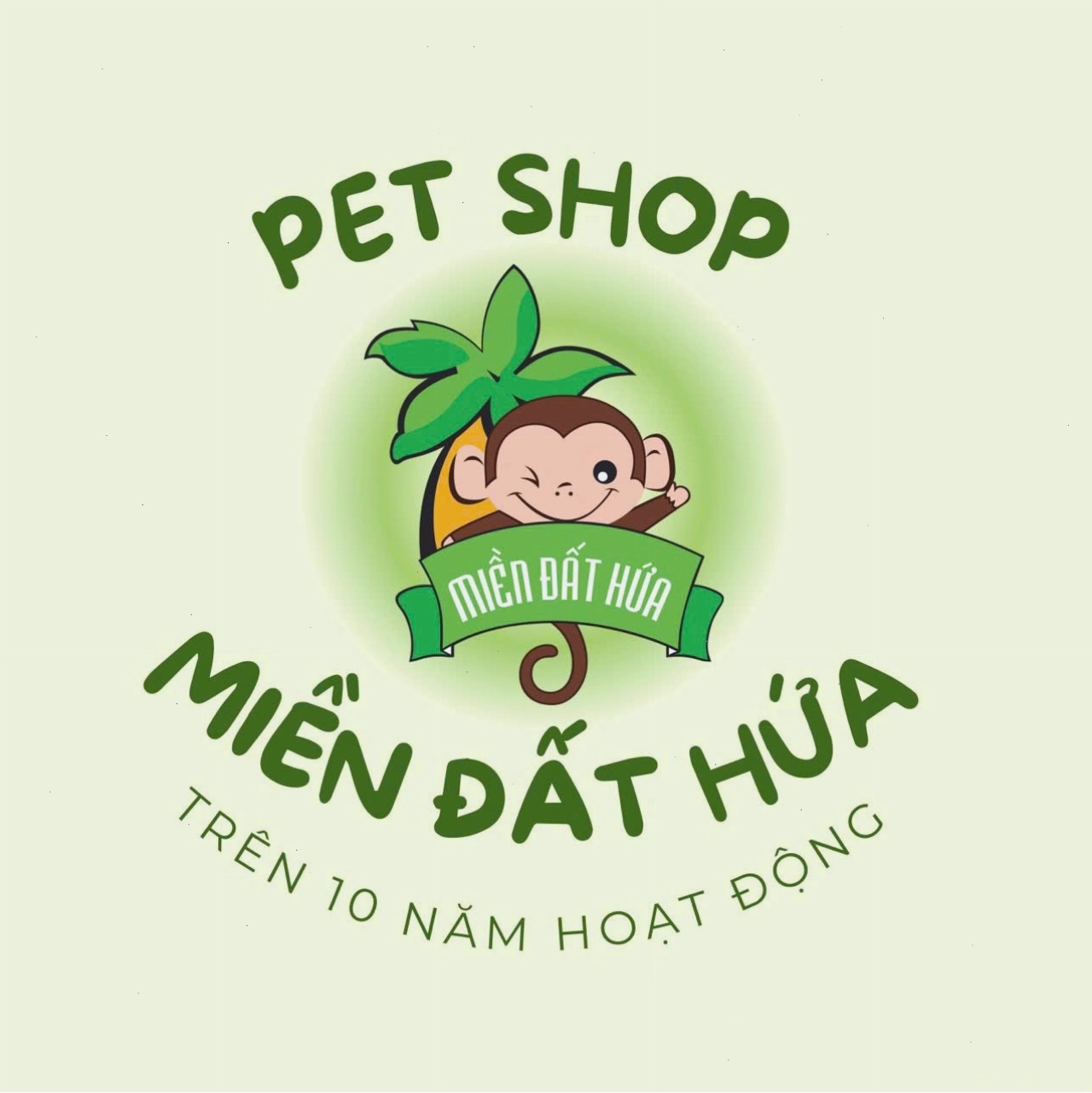 Hamster Bear màu vàng kim với bộ lông dài và dày