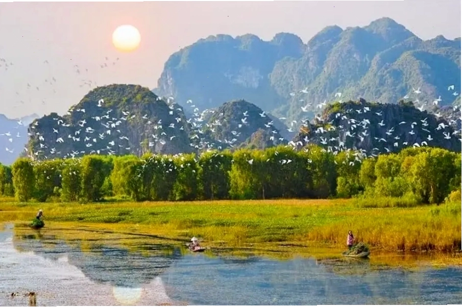 Hàng ngàn chú chim bay về khu bảo tồn tại Thung Nham vào lúc hoàng hôn