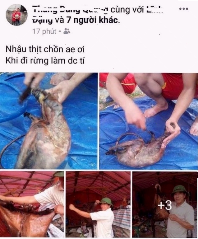 Hậu quả của việc săn bắt trái phép động vật hoang dã