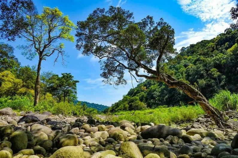 Hệ sinh thái đa dạng tại Vườn quốc gia Vũ Quang