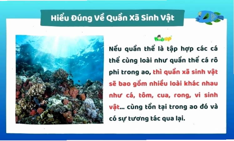 Hiểu đúng về quần xã sinh vật và vai trò của nó trong hệ sinh thái