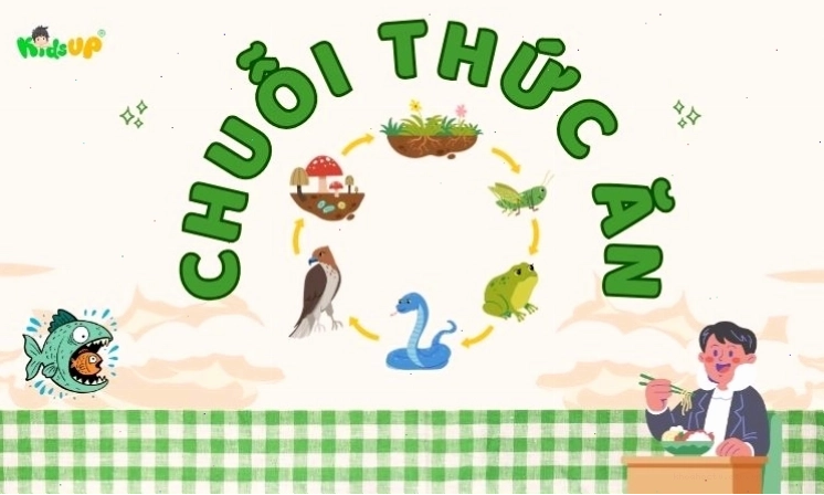 Hình ảnh minh họa chuỗi thức ăn trong tự nhiên với các sinh vật.