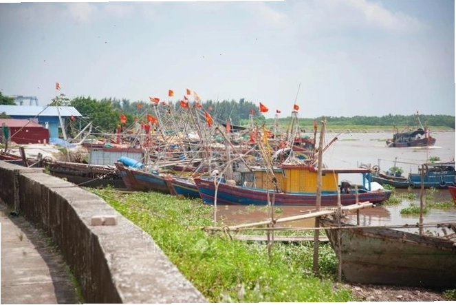 Hình ảnh minh họa về ảnh hưởng của bão lũ do biến đổi khí hậu