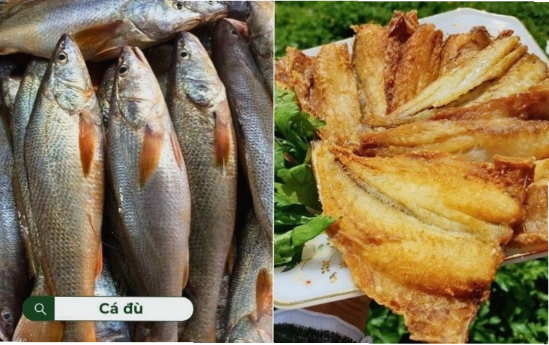 Khô cá đù một nắng ngoài giòn, trong mềm thơm ngon