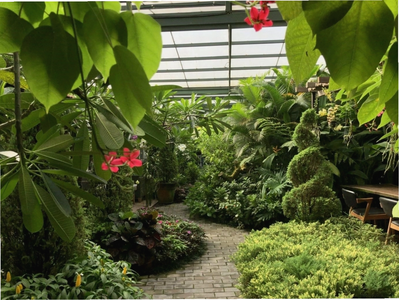 Không gian thiên nhiên tươi đẹp tại Vũ Garden