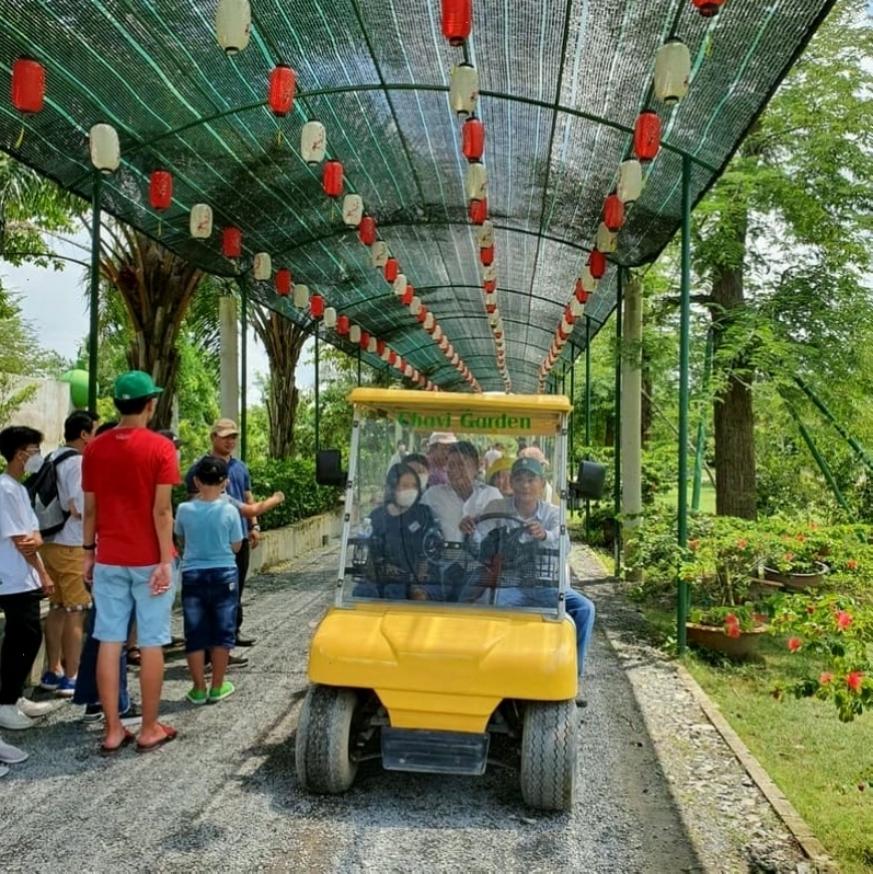 Khu vườn hoa rực rỡ sắc màu tại Chavi Garden thu hút du khách chụp ảnh