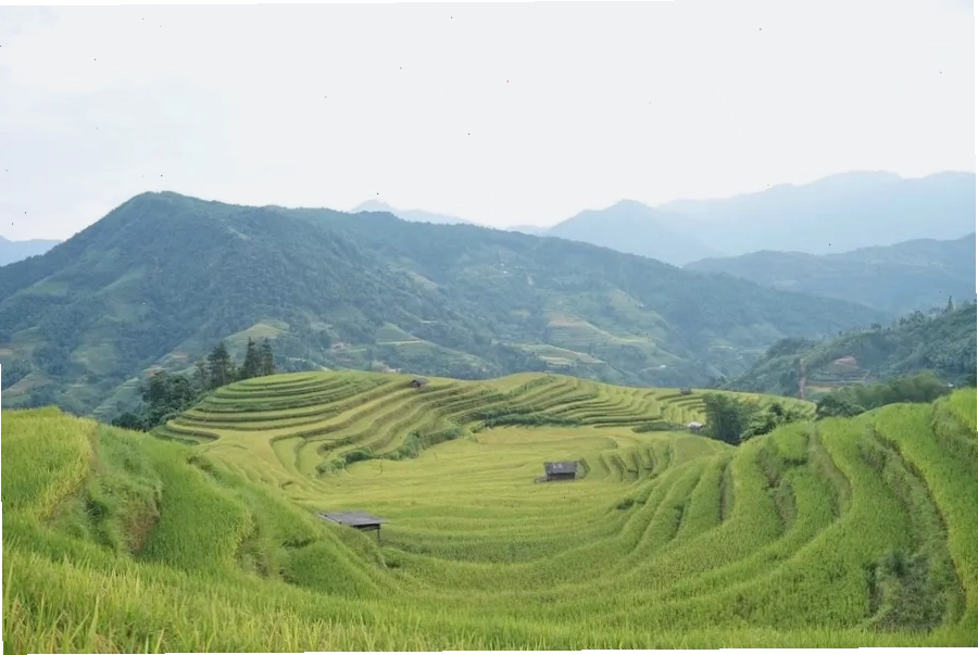 Khung cảnh thiên nhiên ấn tượng của ruộng bậc thang Hà Giang