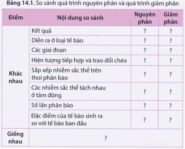 Lập bảng so sánh quá trình nguyên phân và quá trình giảm phân theo gợi ý