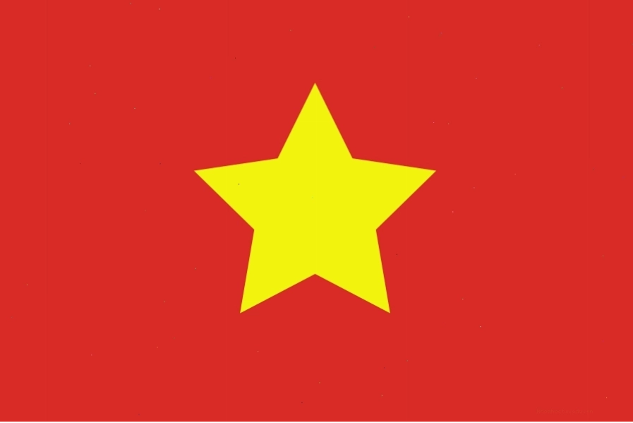Mẫu cờ Tổ quốc Việt Nam Dân chủ Cộng hòa