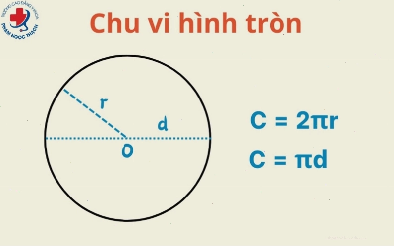Minh họa công thức tính chu vi hình tròn
