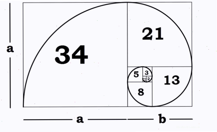 Minh họa dãy số Fibonacci và tỷ lệ vàng trong cấu trúc tự nhiên