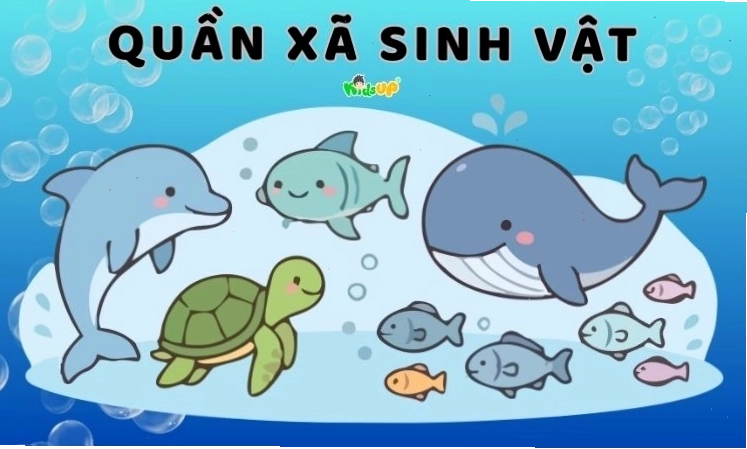 Minh họa khái niệm quần xã sinh vật bao gồm nhiều loài sinh vật
