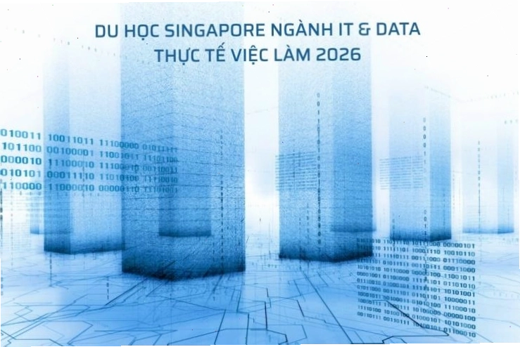 Môi trường làm việc chuyên nghiệp của kỹ sư Kỹ thuật y sinh