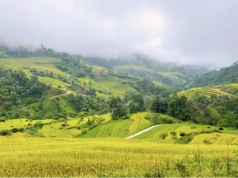 Nà Thác, Khuổi My và Lùng Vài là địa điểm lý tưởng ngắm ruộng bậc thang Hà Giang