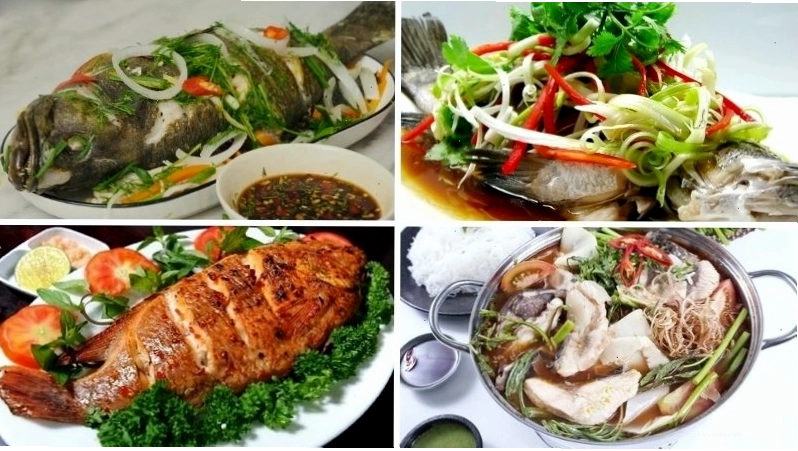 Nhiều món ăn ngon được chế biến từ cá mú biển