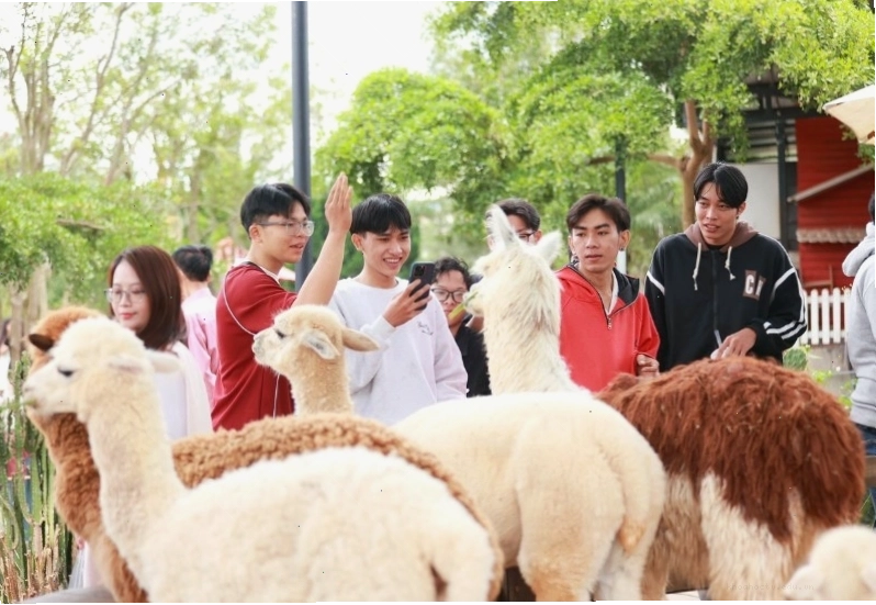 Những lưu ý quan trọng giúp bạn có chuyến tham quan Mongo Land trọn vẹn