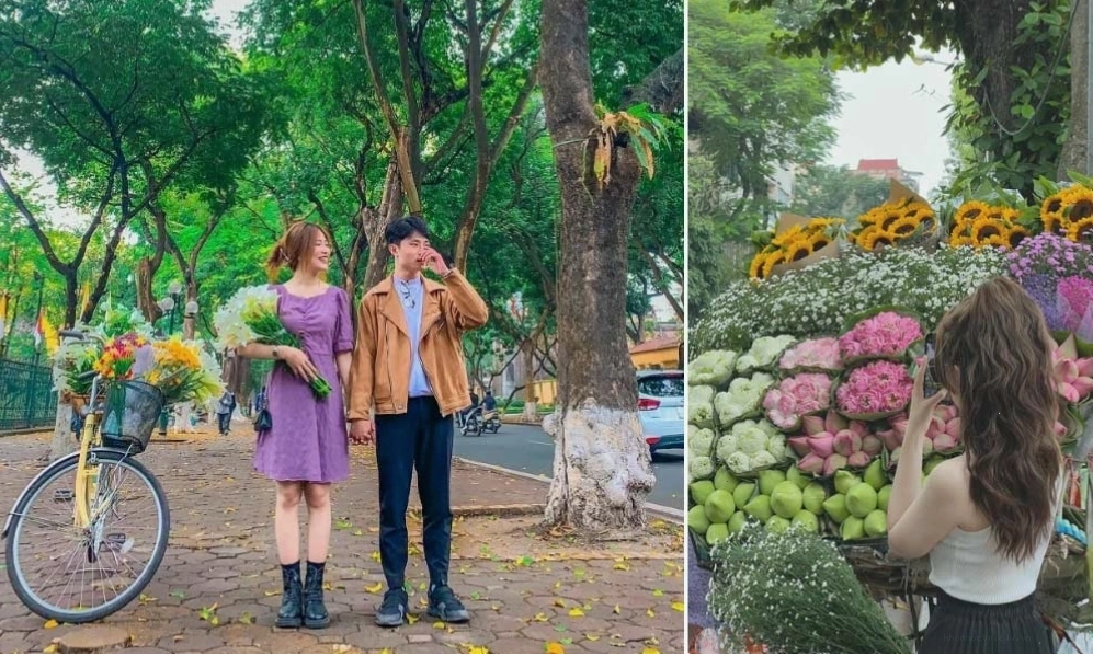 Phố Phan Đình Phùng với hàng cây cổ thụ và kiến trúc Pháp