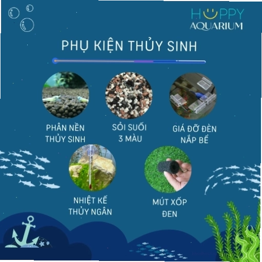 Phụ kiện thủy sinh hỗ trợ chăm sóc cá