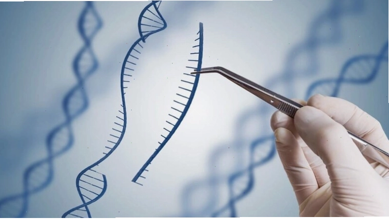 Quy trình lấy mẫu xét nghiệm ADN tại nhà