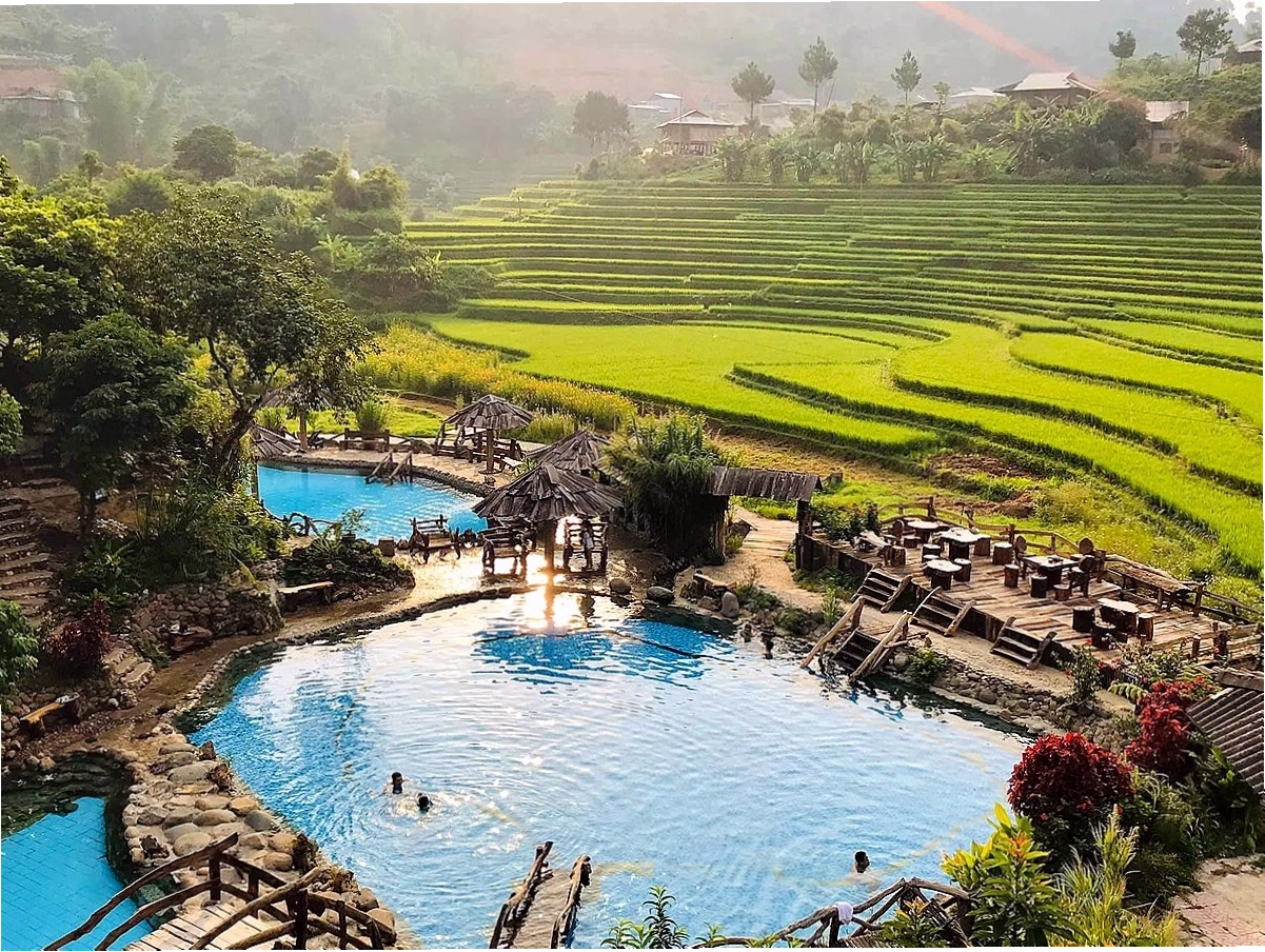 Rừng chè cổ thụ tại Suối Giàng